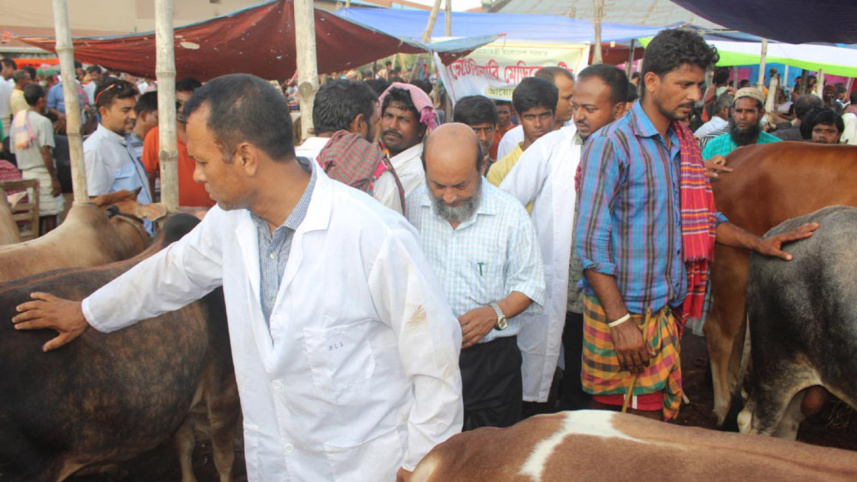 Veterinary doctors.jpg