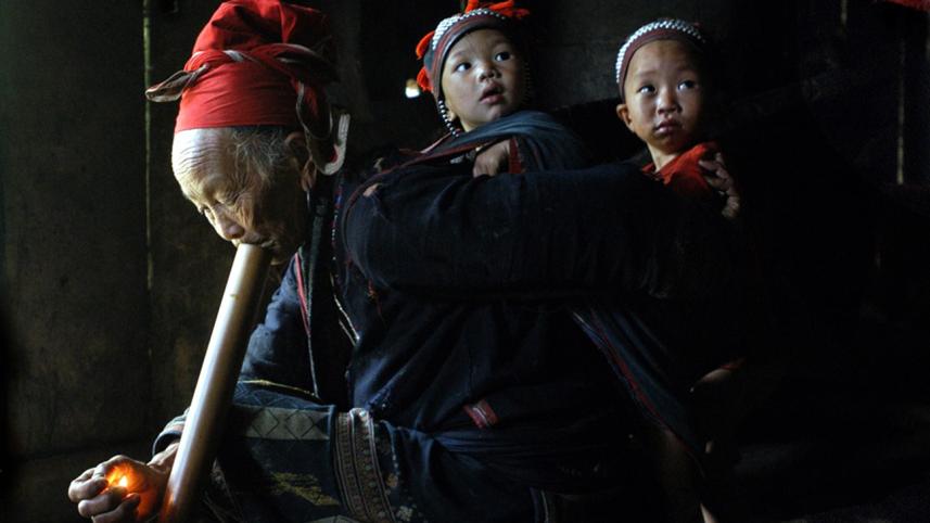 vietnam aging population