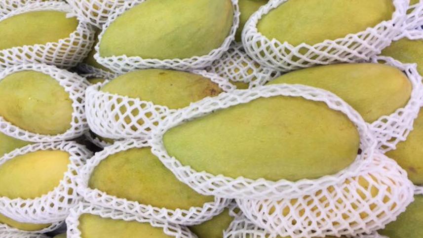 vietnam-mango-fb-wb.jpg
