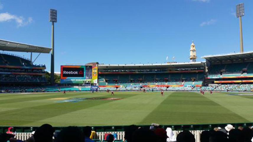 Beautiful SCG