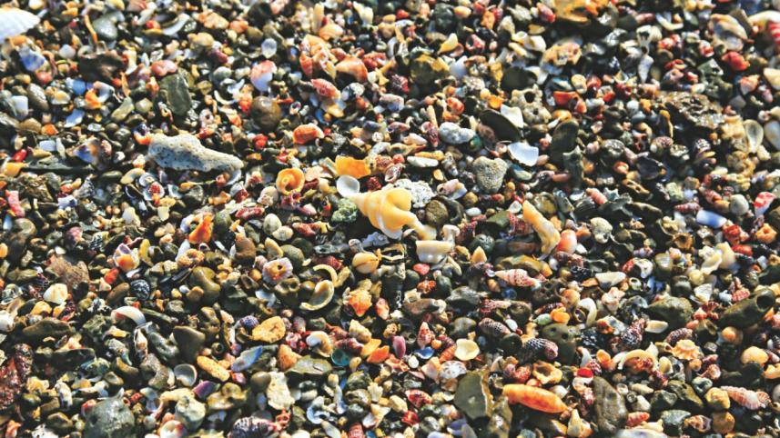 Voices from a small town