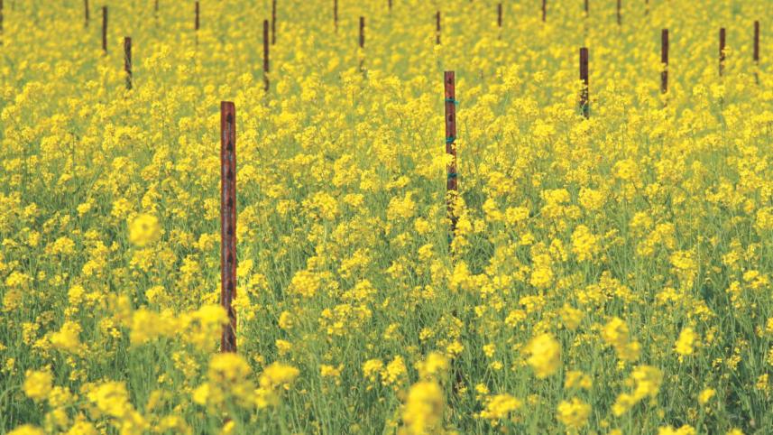 Where are you taking me