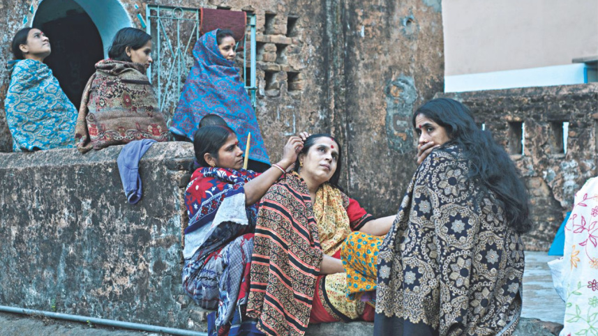 Where blue birds fly