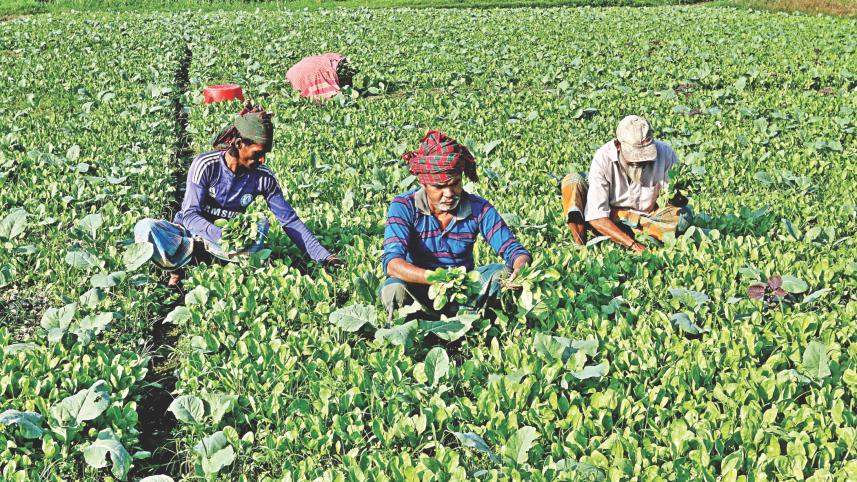 winter vegetables 1.jpg