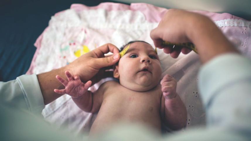 zika.jpg