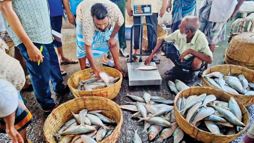 hilsha-fish.jpg