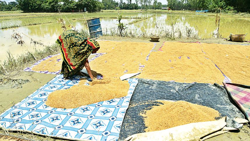 waterborne diseases in flood-affected areas