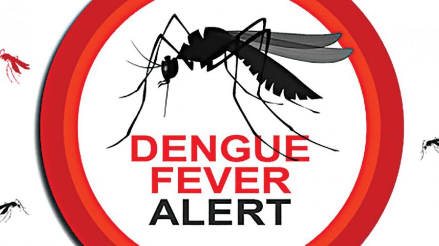 dengue_21.jpg