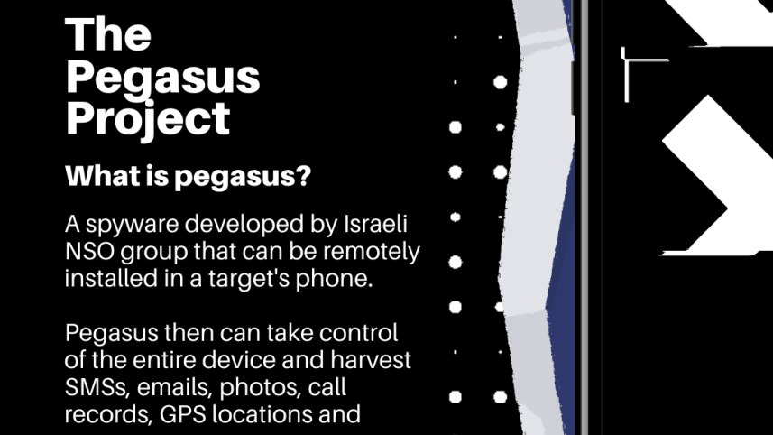 Pegasus Project, pegasus, pegasus project bangladesh