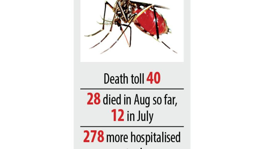 dengue.jpg