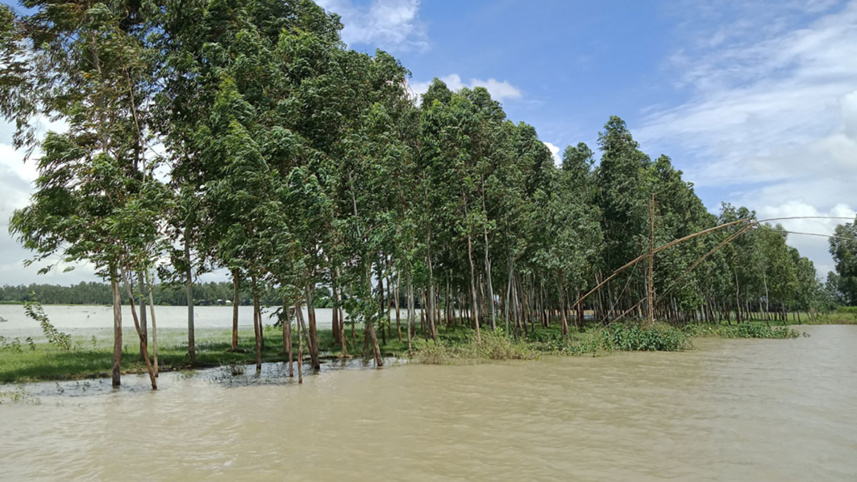 sirajganj_flood_photo-6.jpg