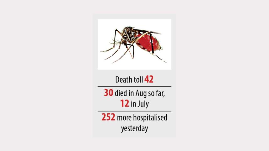 death-toll-dengue.jpg