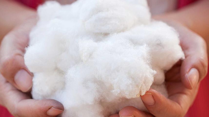 cotton.jpg