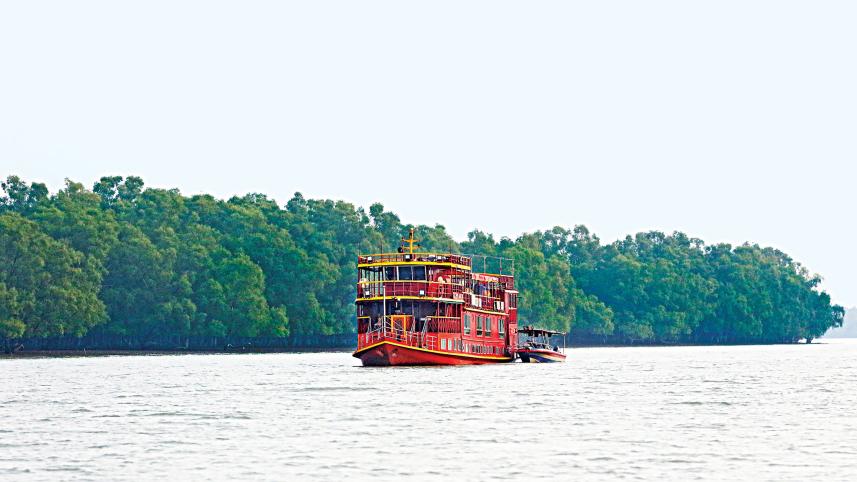 sundarbans.jpg
