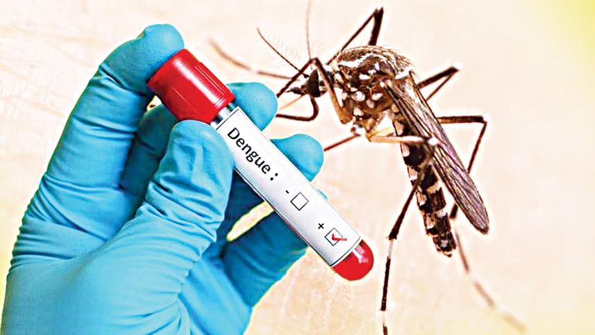 dengue.jpg