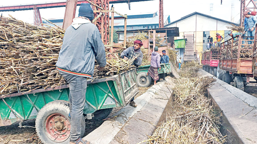 sugarcane-farmers-2.jpg