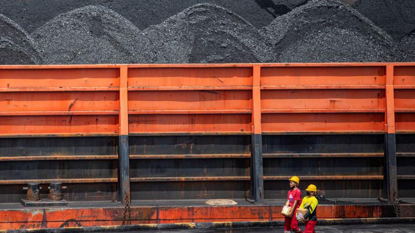 indonesia-to-review-coal-export-ban.jpg
