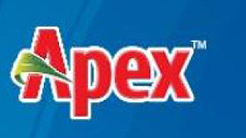 apex-b4.jpg