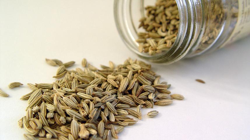 fennel_seed.jpg