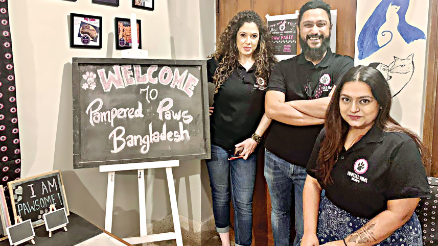 pampered-paws-bangladesh-2.jpg