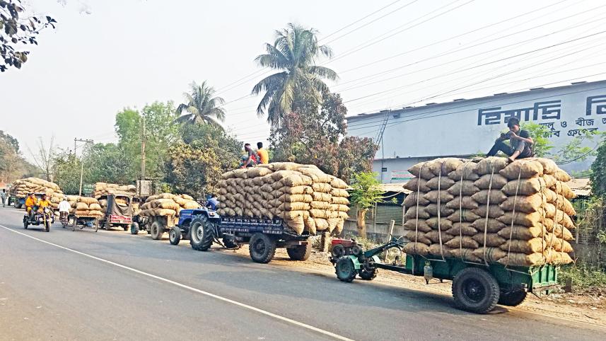 Potato Storage Issues: Potato Growers Worried over lack of Storage 