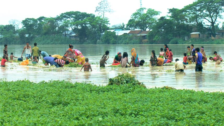 Flash floods leading to rise in water level in haor areas of 4 districts