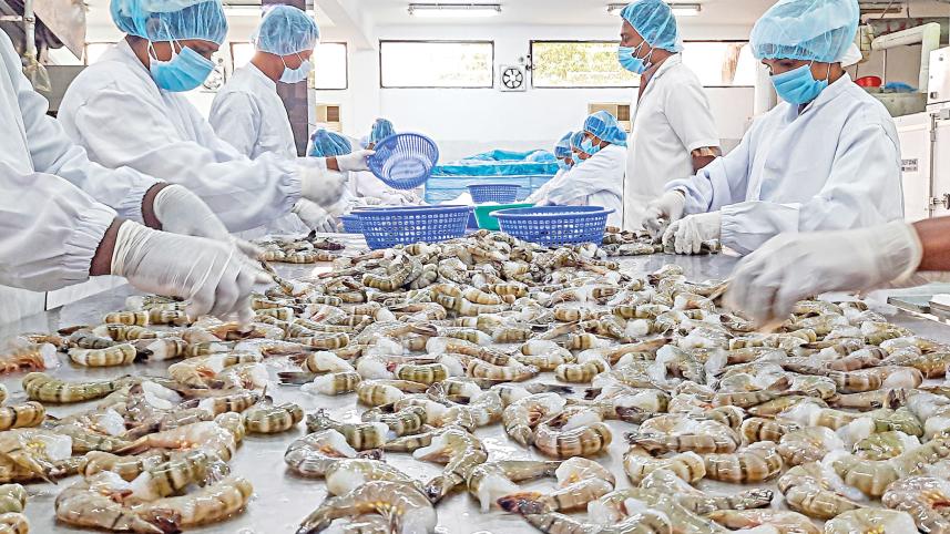 shrimp-1.jpg