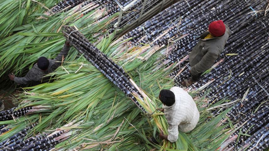 india-to-restrict-sugar.jpg