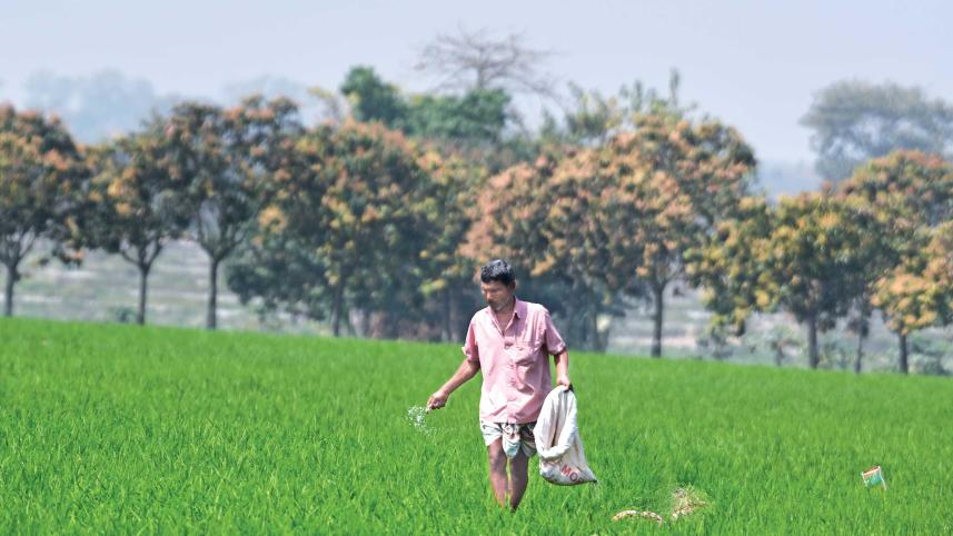 Fertiliser Supply crisis