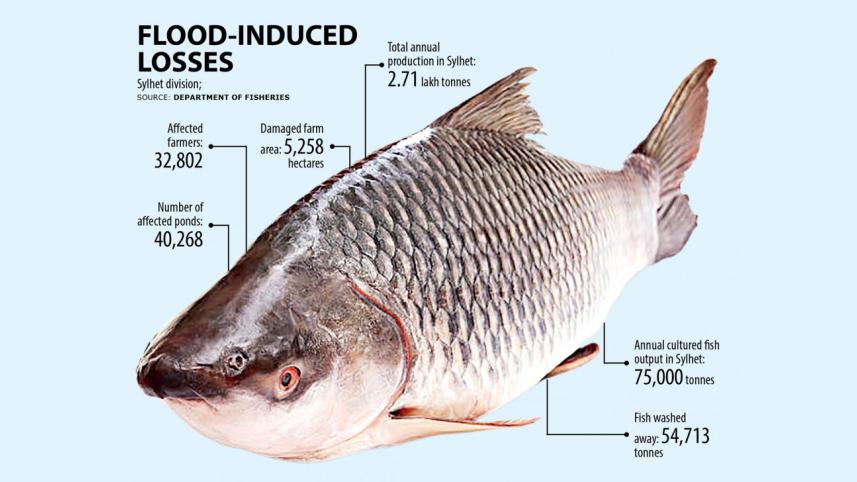 Sylhet flood situation