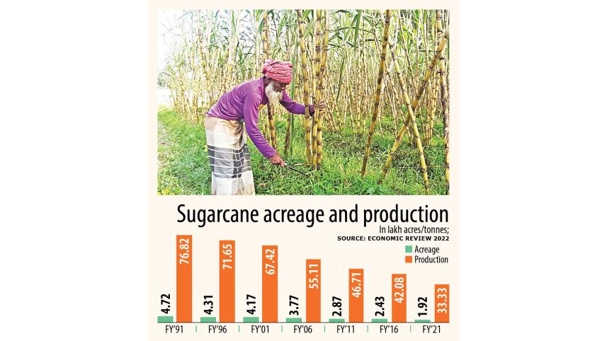 sugarcane-production.jpg