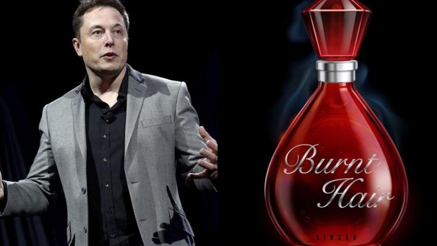 elon-musk-burnt-hair-perfume-illustration