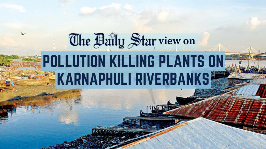 pollution_killing_plants_on_karnaphuli_riverbanks.png