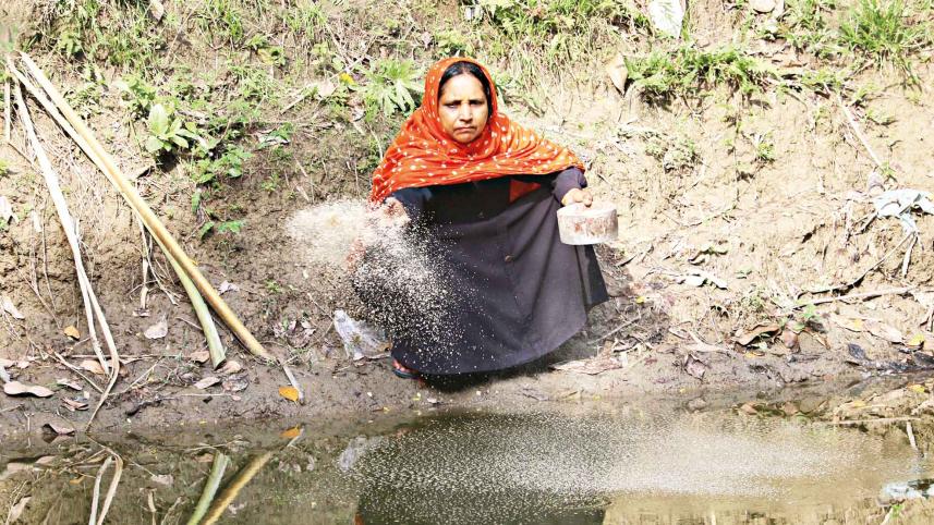 Women's Empowerment in Bangladesh
