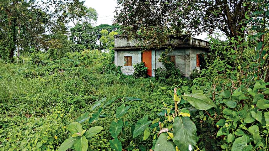 Pabna Benarasi Palli