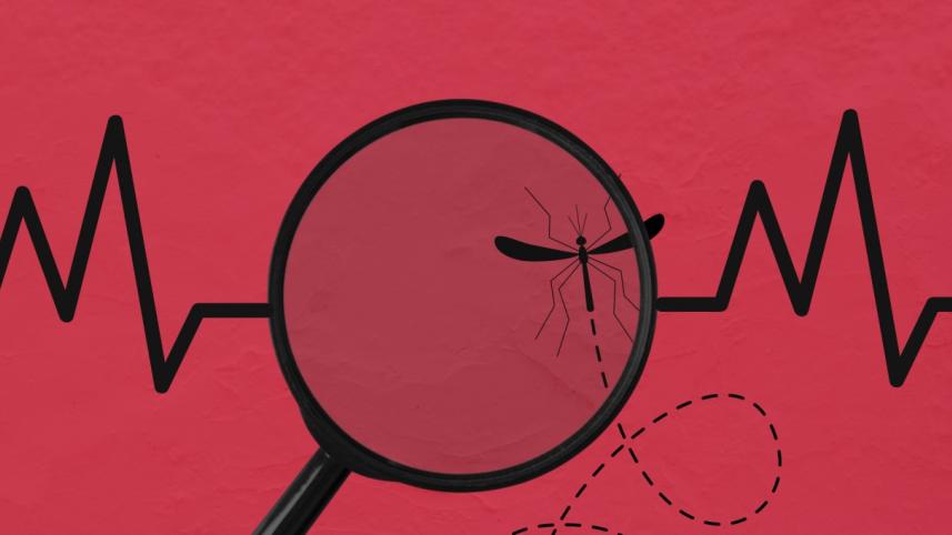 Dengue Outbreak in Bangladesh