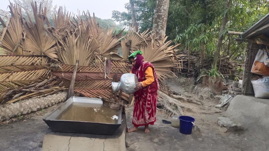 Nipa palm molasses, a little-known sweet with immense potential 