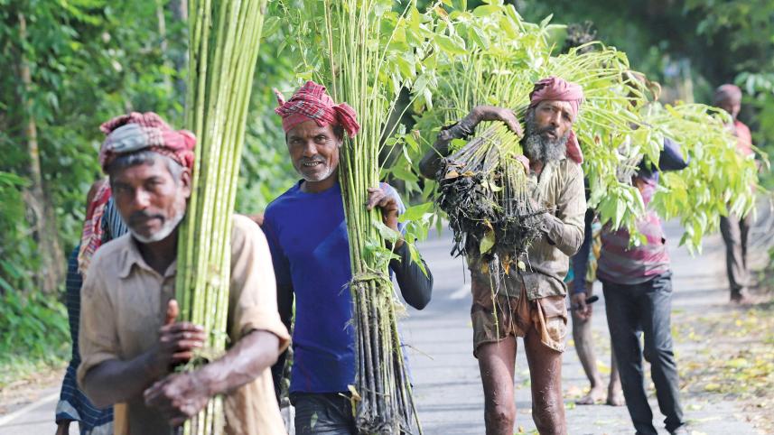 bangladesh-jute-research-institute.jpg