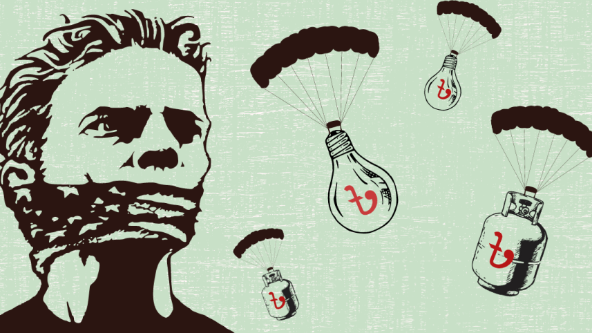 Regulatory capture of energy sector