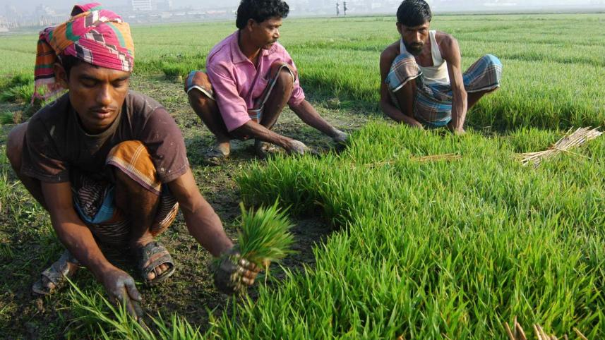 GDP growth of Bangladesh in FY25