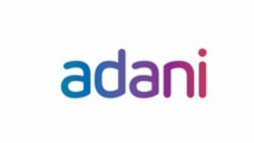 Adani stock fall