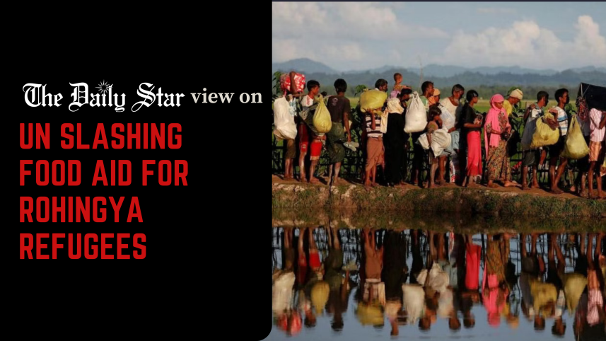 Cutting UN aid will spell disaster for Rohingya refugees