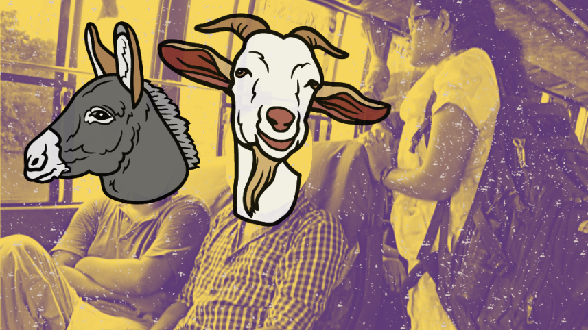 Women on public buses.png