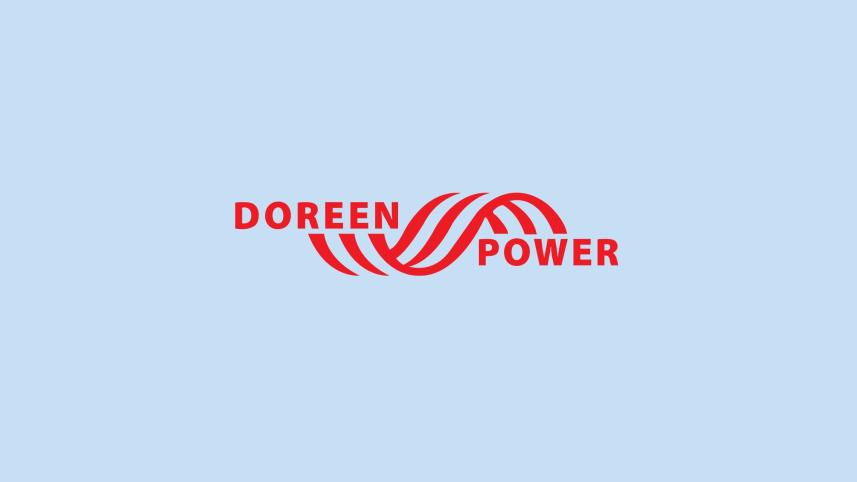 Doreen Power’s profit drops 65% due to costly dollar