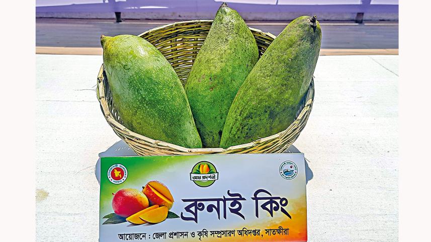 khulna_mango-10.jpg