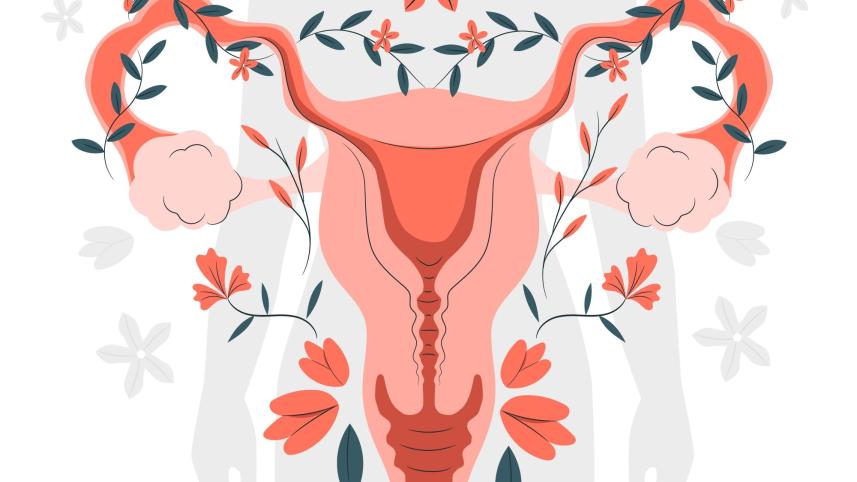 Tired of your regular sanitary napkins? Try these products for a change 