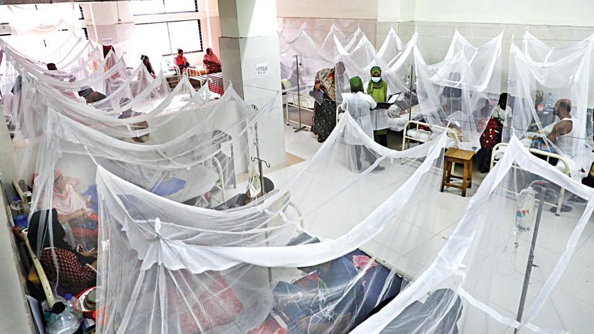 Dengue situation in Dhaka