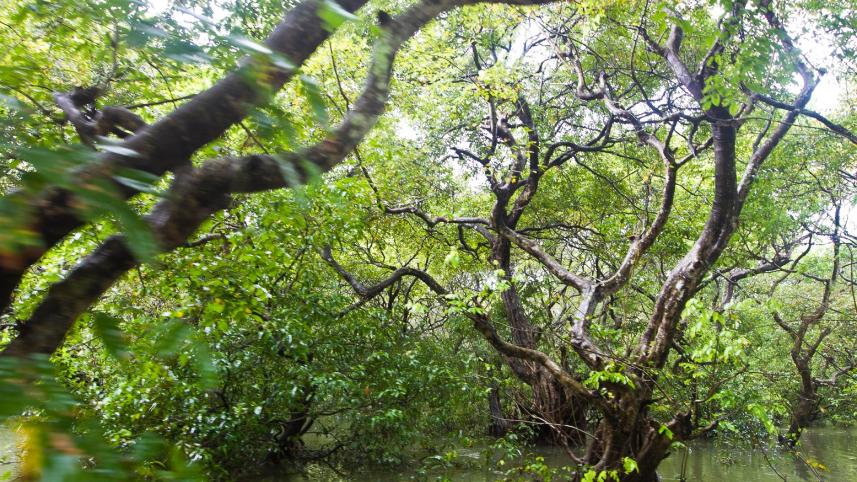 The splendour of Sylhet