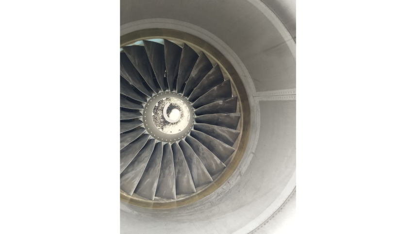 bird strike dhaka airport