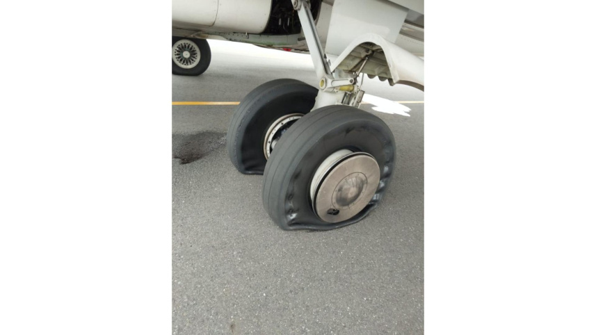 bird strike dhaka airport
